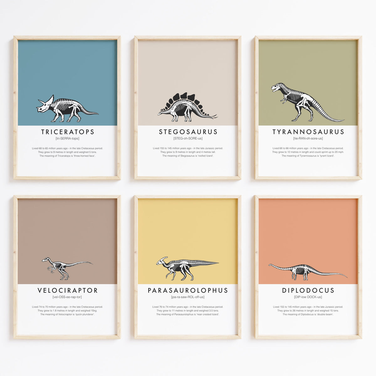 Diplodocus Dinosaur Fact Print | Kids Nursery Wall Art