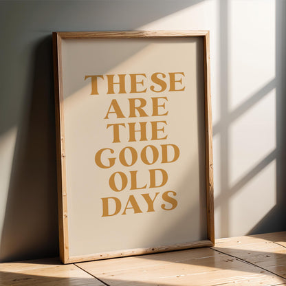 a framed poster with the text "These are the good old days" printed on it.