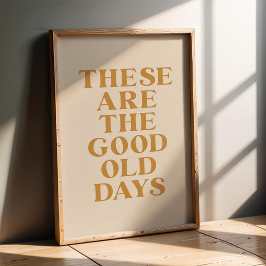 a framed poster with the text "These are the good old days" printed on it.