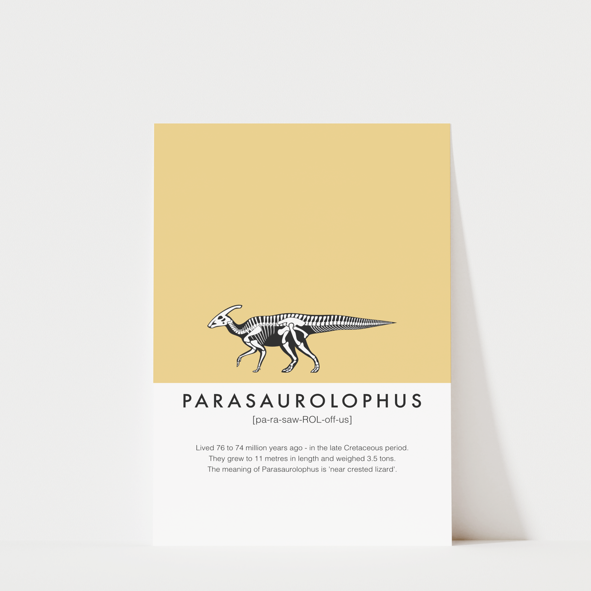 Parasaurus lophus
