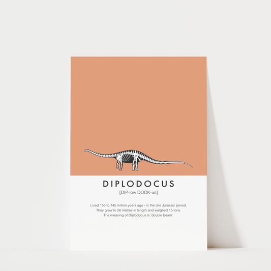 Diplodocus Dinosaur Fact Print | Kids Nursery Wall Art