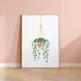 Hanging House Plant - String of Pearls Print
